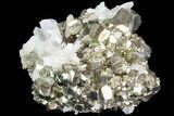 Gleaming Pyrite Crystal Cluster with Quartz - Peru #72589-1